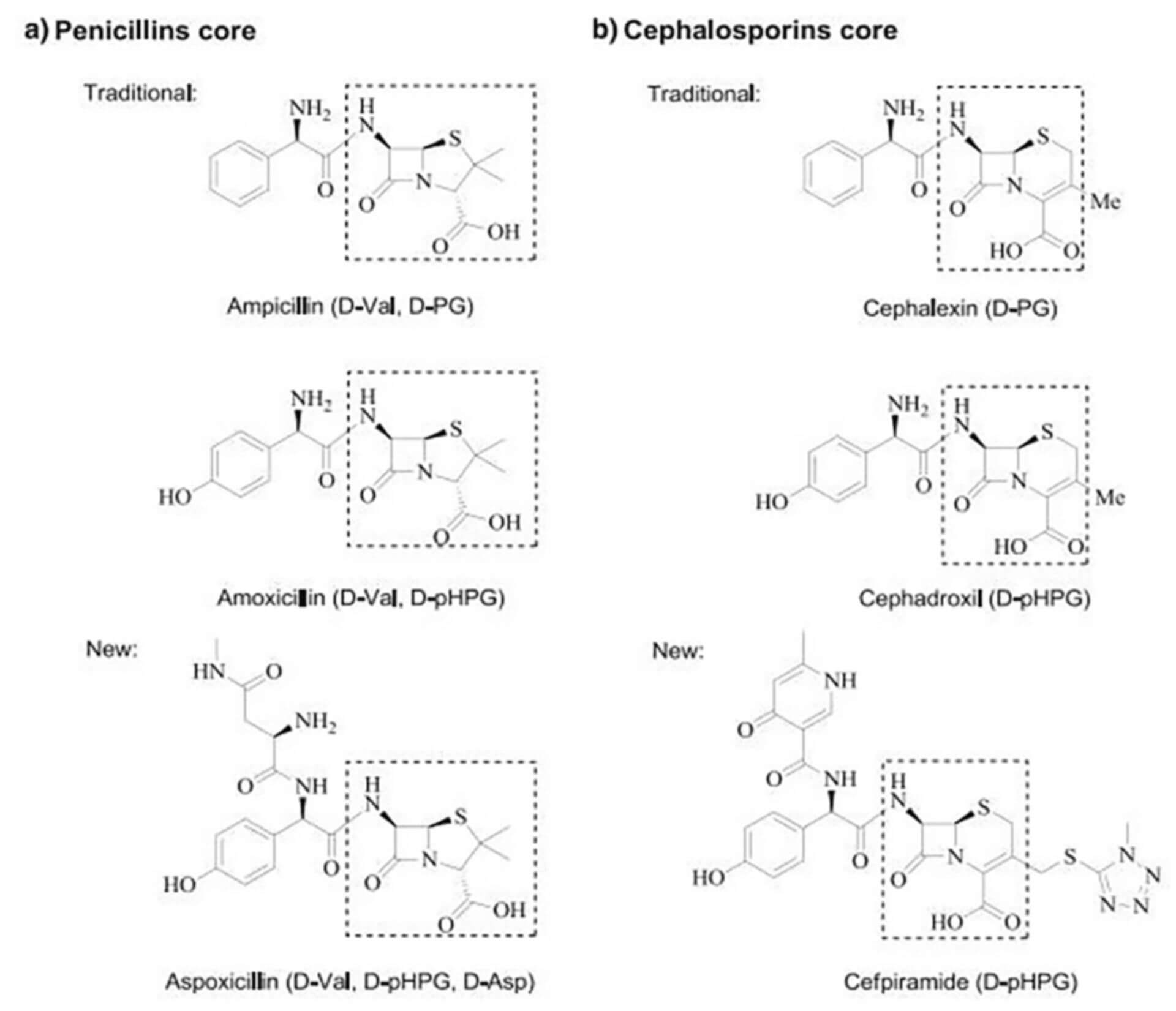 D Amino Acids Doccheck