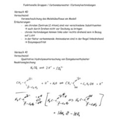 Chemisches Gleichgewicht DocCheck Flexikon