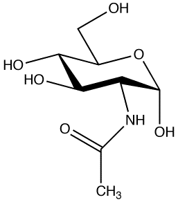 Nacetylglucosamin.png