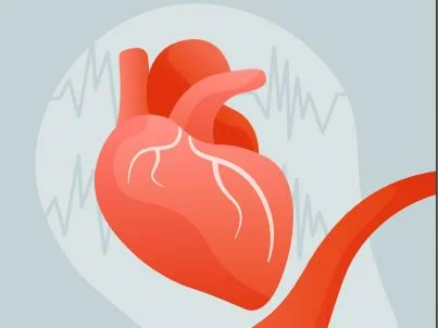 Ärztefortbildung Lipidtherapie 