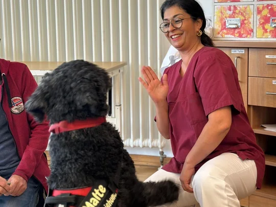 Therapiehund gibt High Five