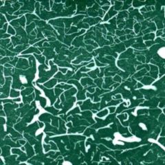 Kapillare DocCheck Flexikon