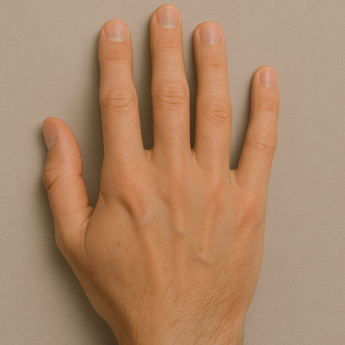Handrücken