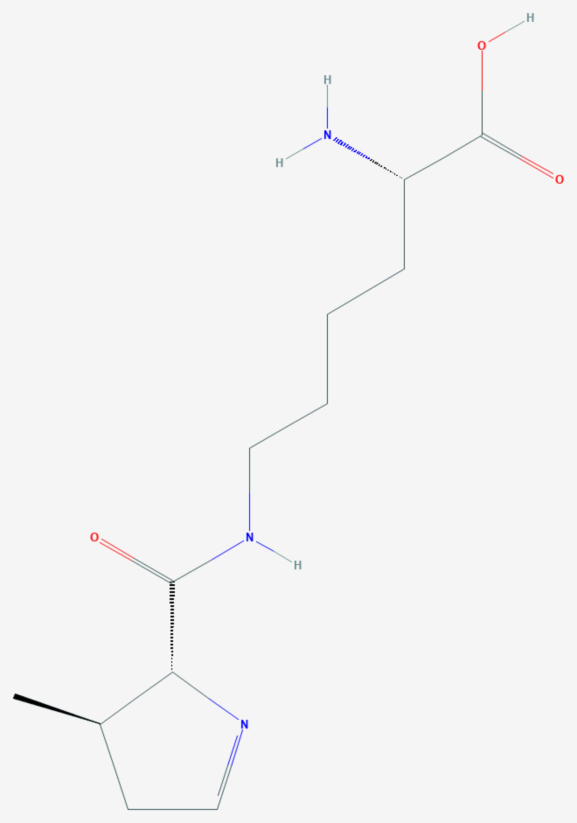 Pyrrolysin (Strukturformel)