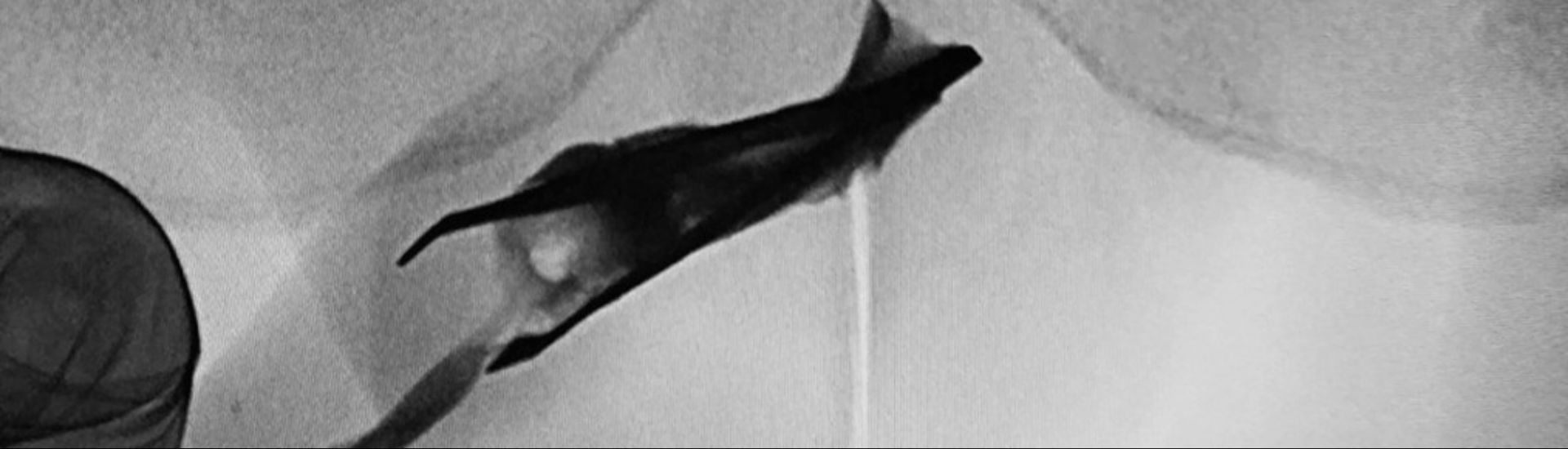 Causa obscura: Vier Jahre in der Rhre - DocCheck