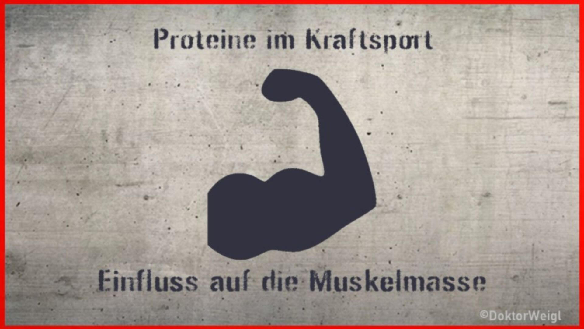 Protein im Sportler-Check – was bringt es wirklich?