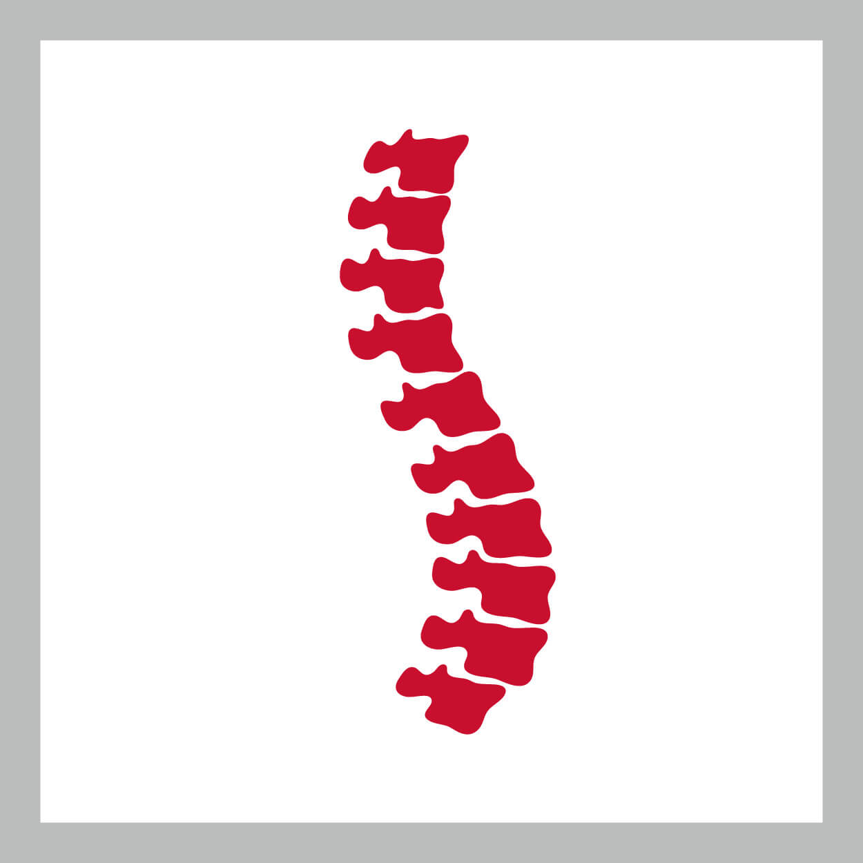 icons_spine-09_original.jpg