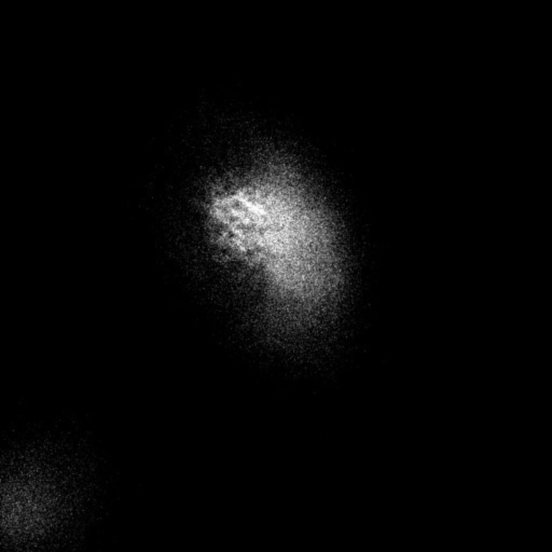 Homo sapiens (Endoplasmic reticulum) - CIL:9157