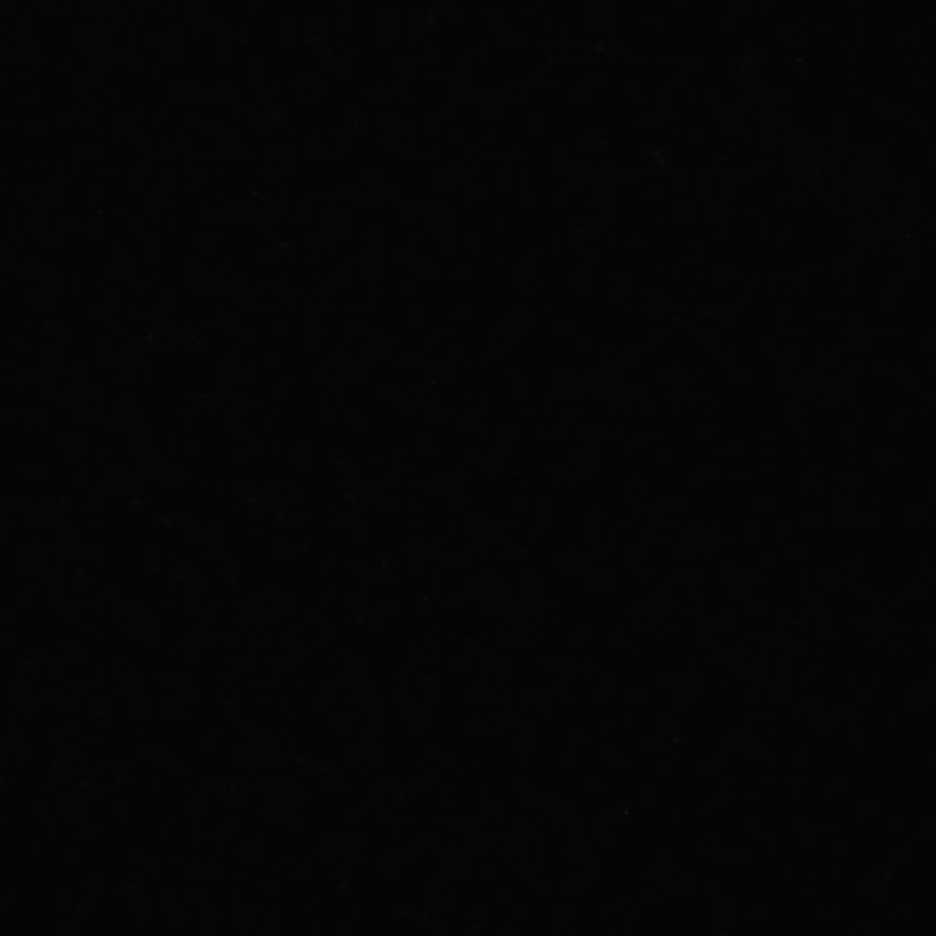 Xenopus laevis (Axon) - CIL:37000