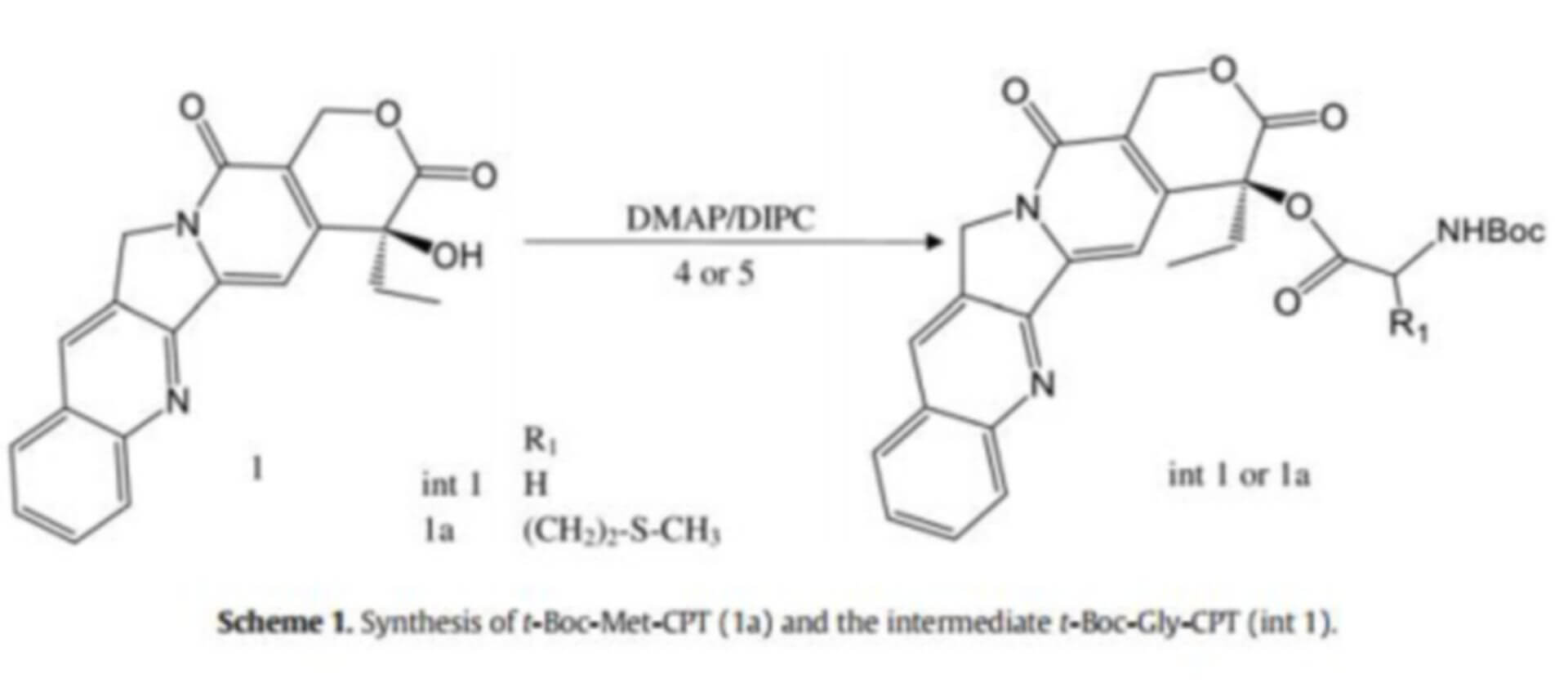 BOC-Amino Acids