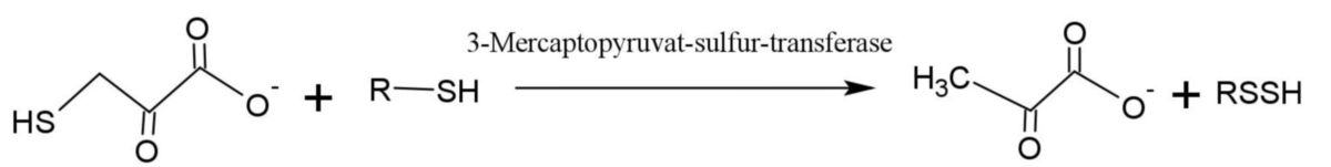 Mercaptopyruvat-Sulfur-Transferase