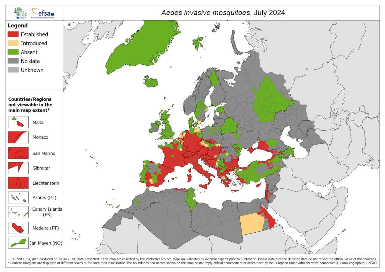 doccheck_-_12_-_neuesvomctm2024_-_02_-_verbreitungaedes_original.jpg