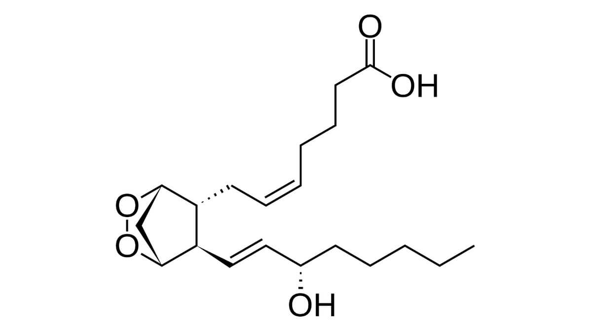 Prostaglandin H2