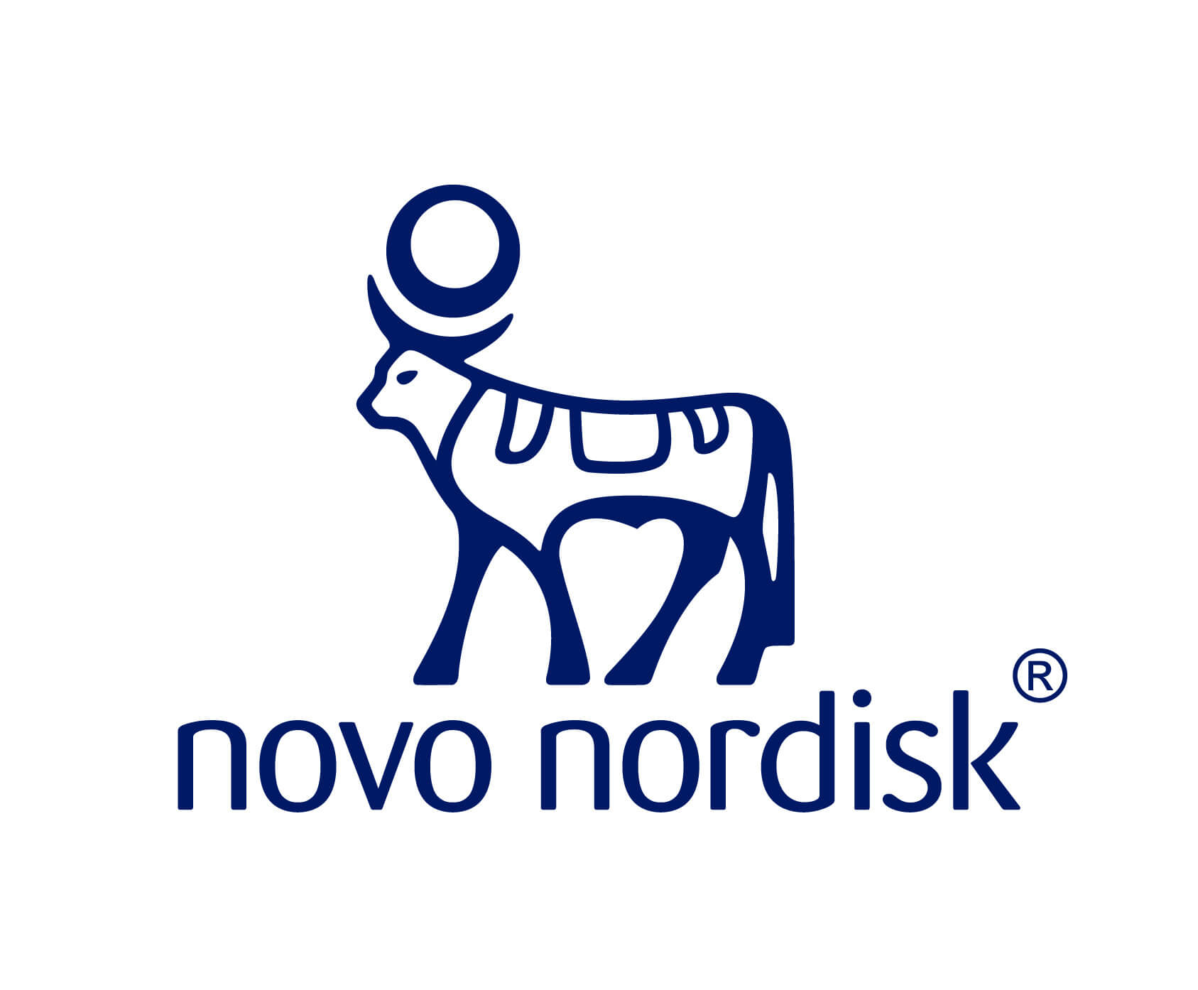 nn_logo_rgb_true_blue_40_original.jpg