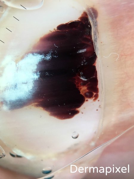 m_1513162636.jpg