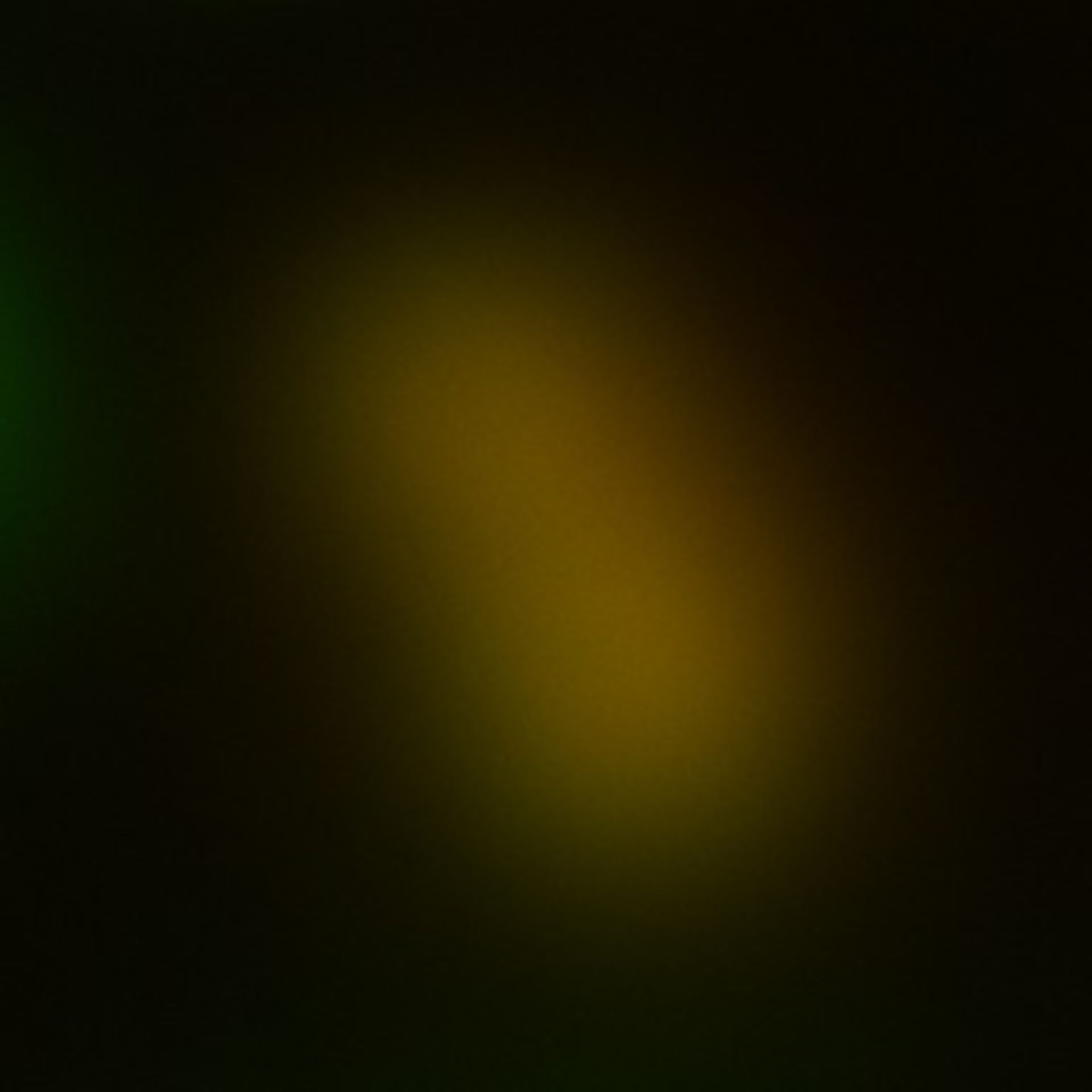 Toxoplasma gondii RH (Cortical microtubule) - CIL:10562