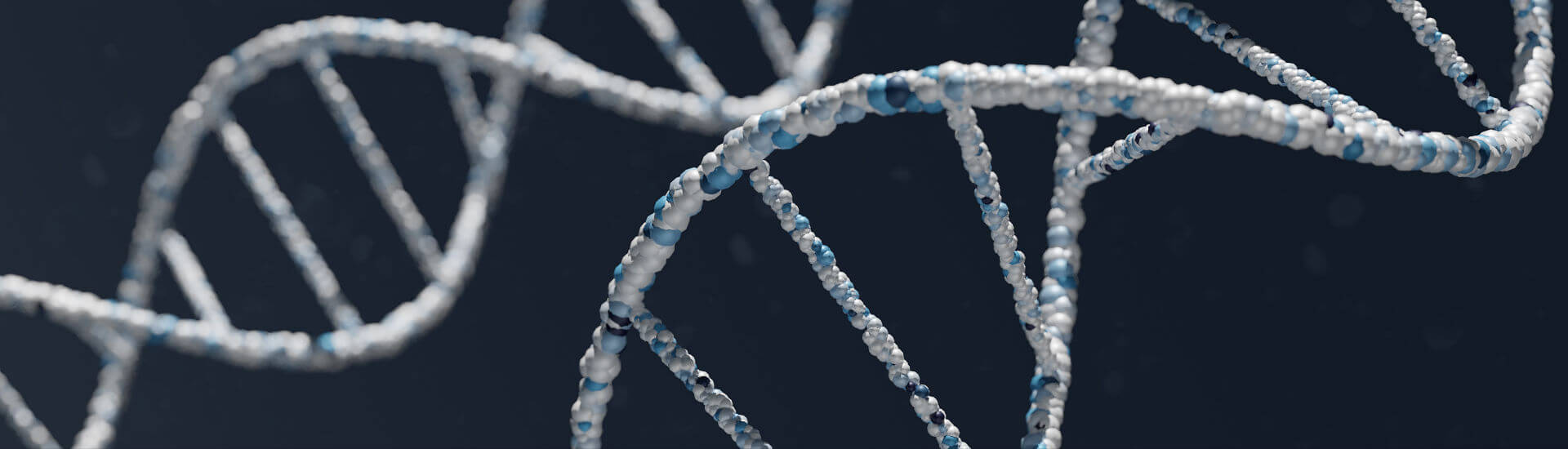 WiskottAldrichSyndrom Gentherapie erfolgreich DocCheck