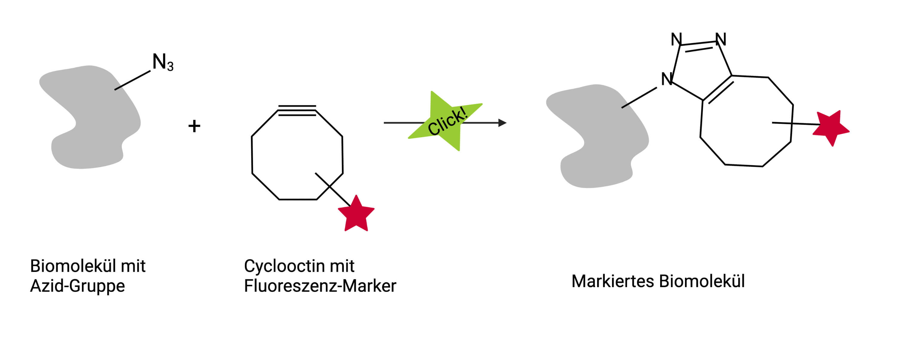 kupferfreie_cuaac_original.jpg