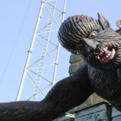 Punctum fixum DocCheck Flexikon