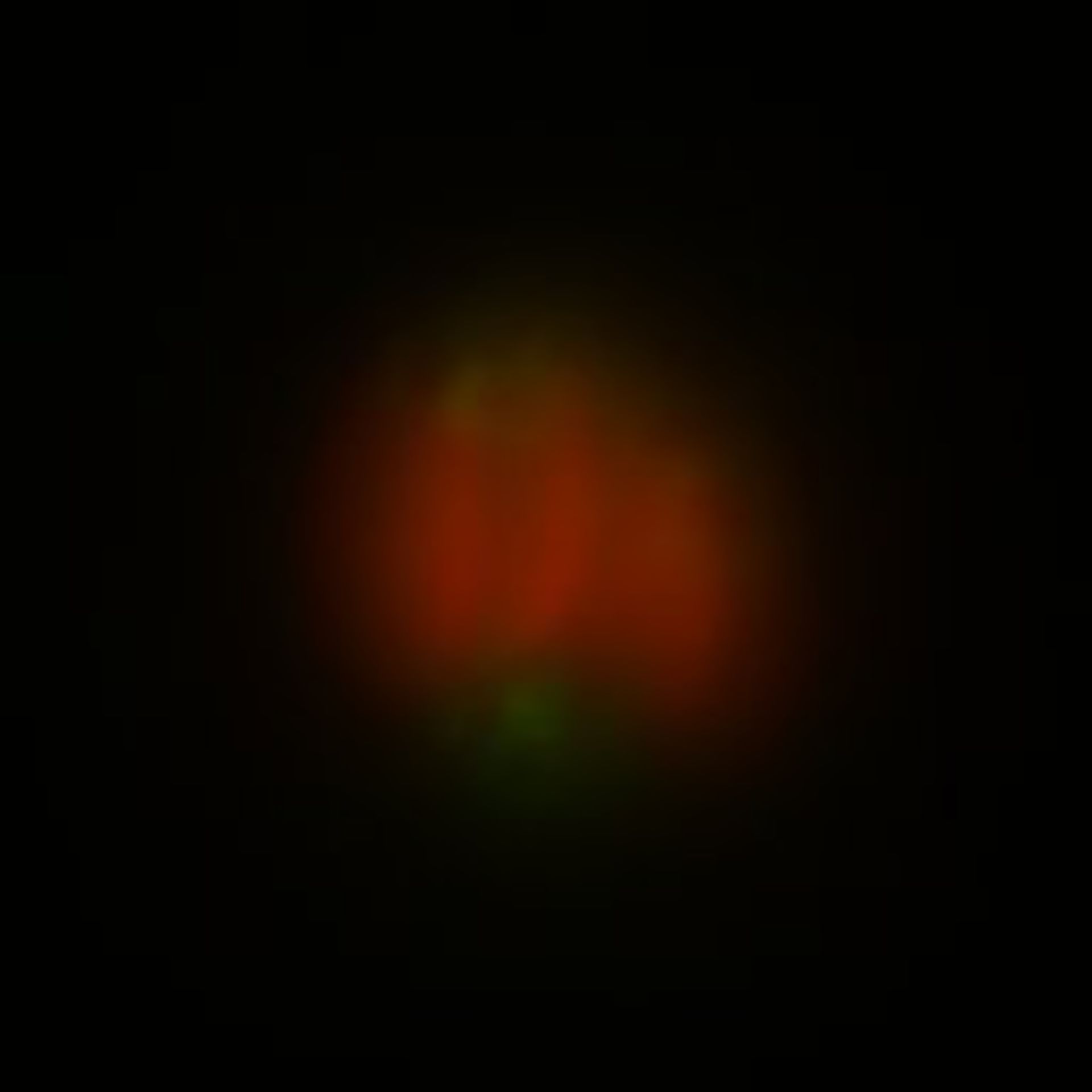 Toxoplasma gondii RH (Polar ring of apical complex) - CIL:10516