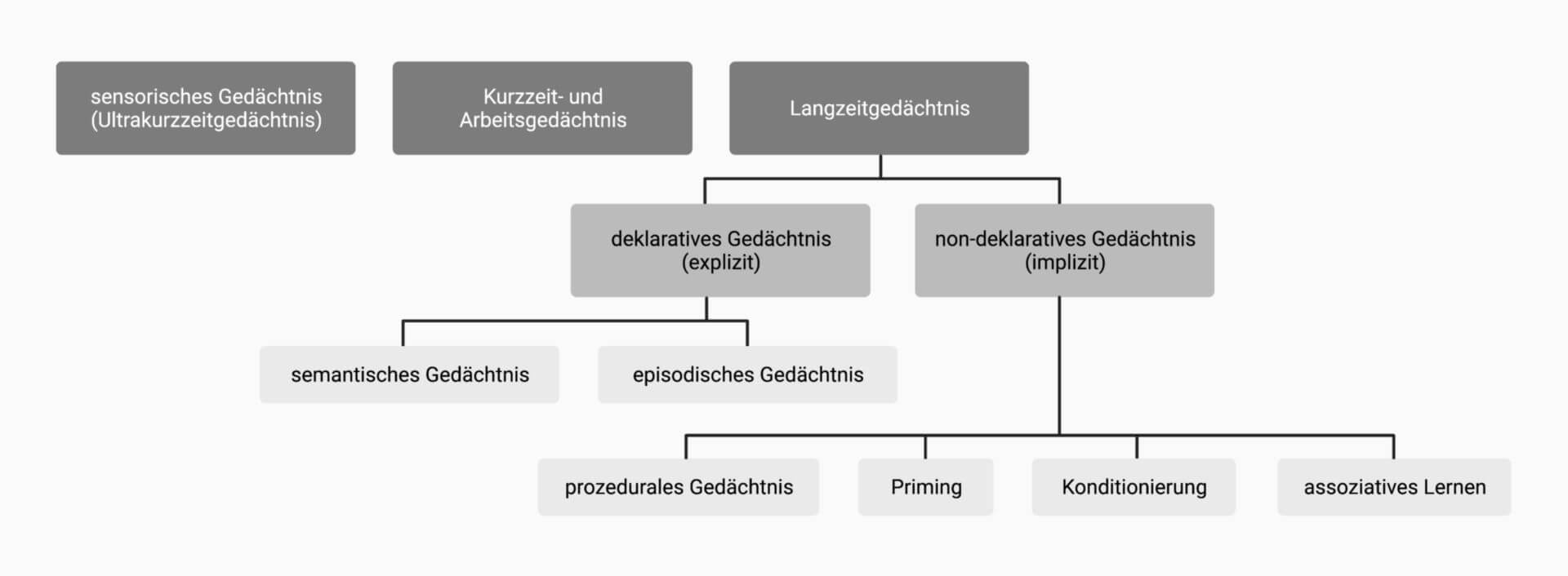Untergliederung des Gedächtnisses