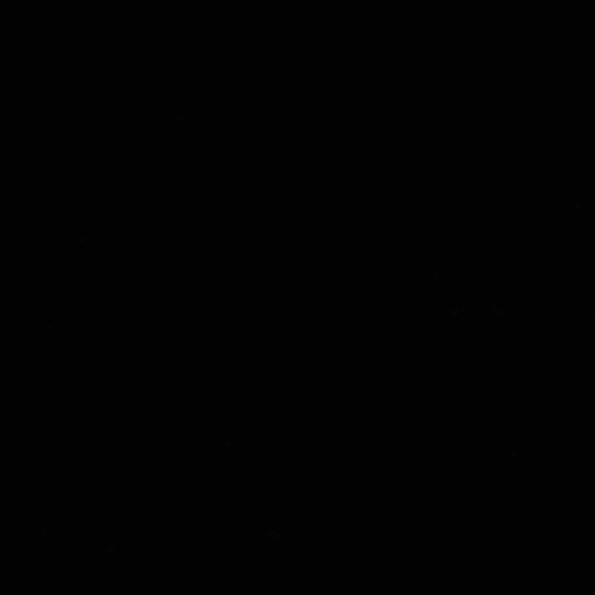 Xenopus laevis (Cytoplasm) - CIL:36891