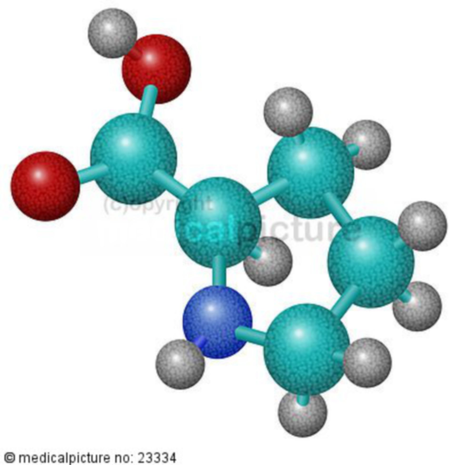  Aminosäure Ornithin 
