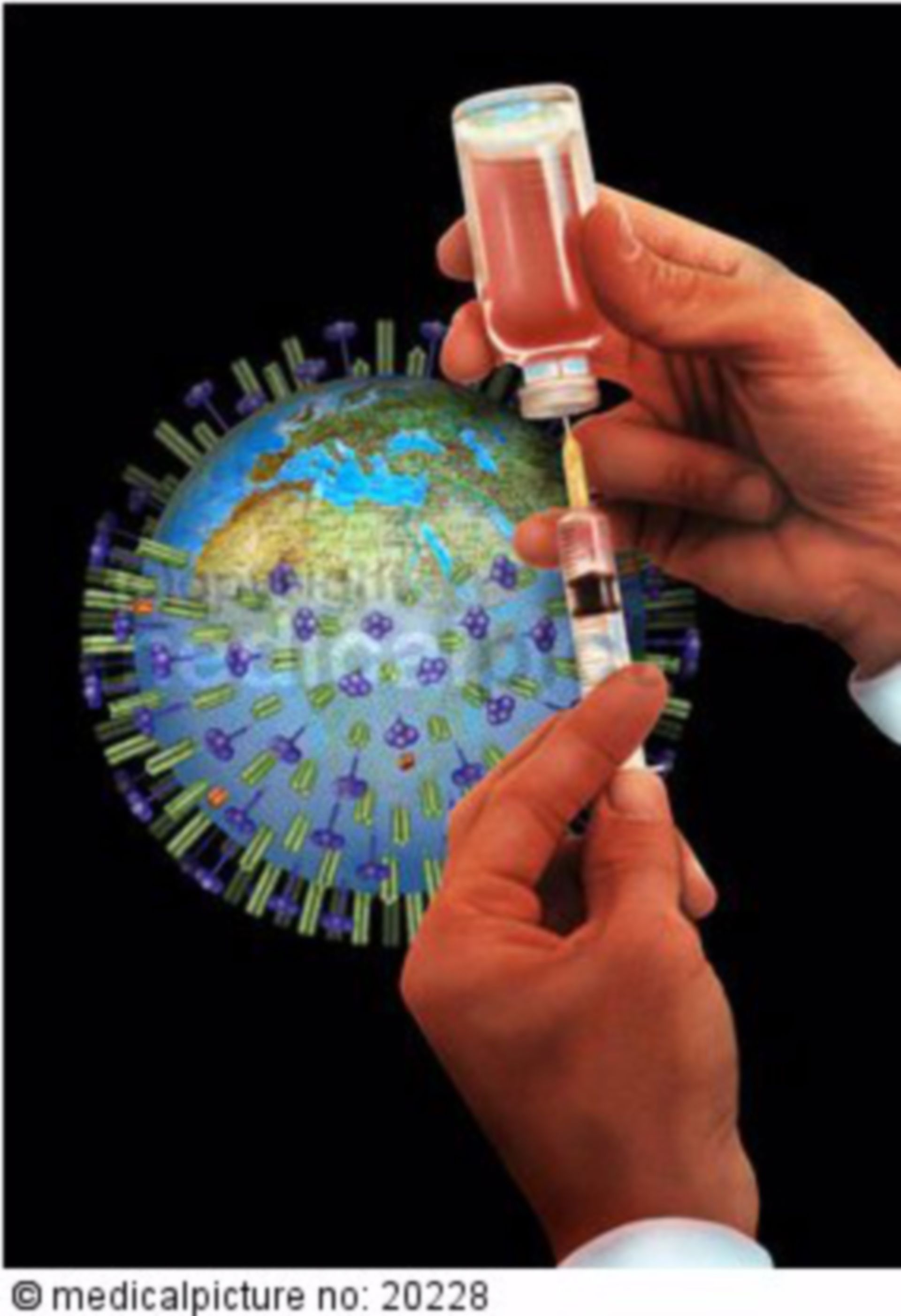 H5N1 virus and vaccination