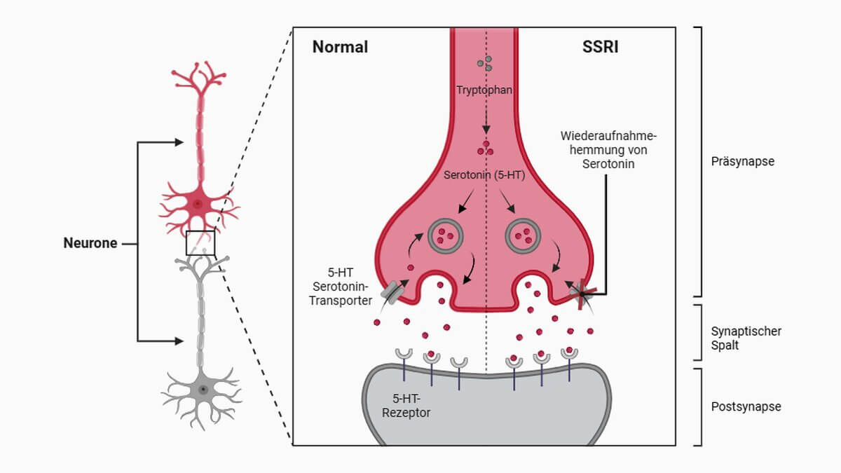 Schematische Darstellung der Wirkweise von SSRI