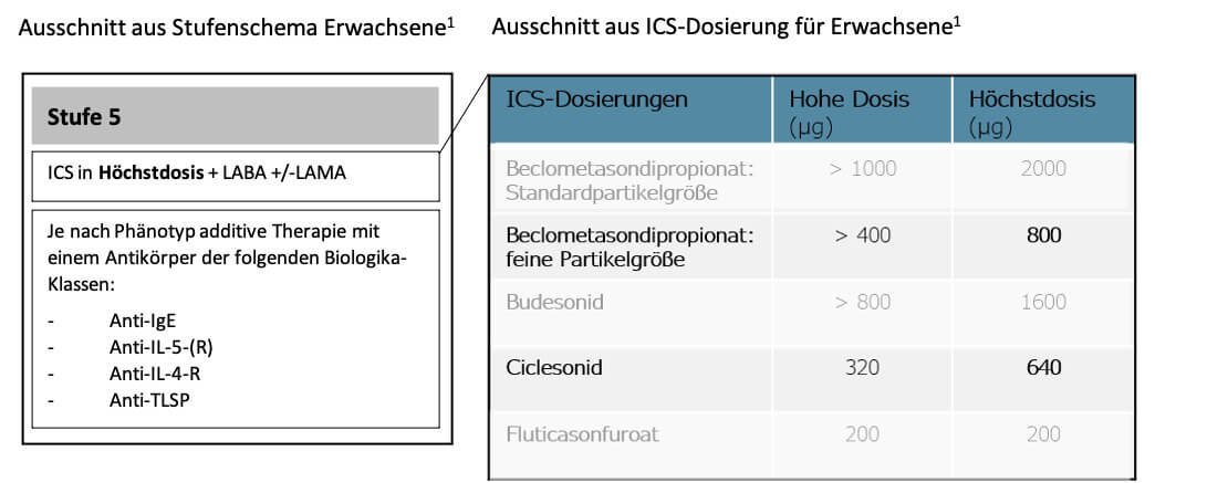 abb1_original.jpg