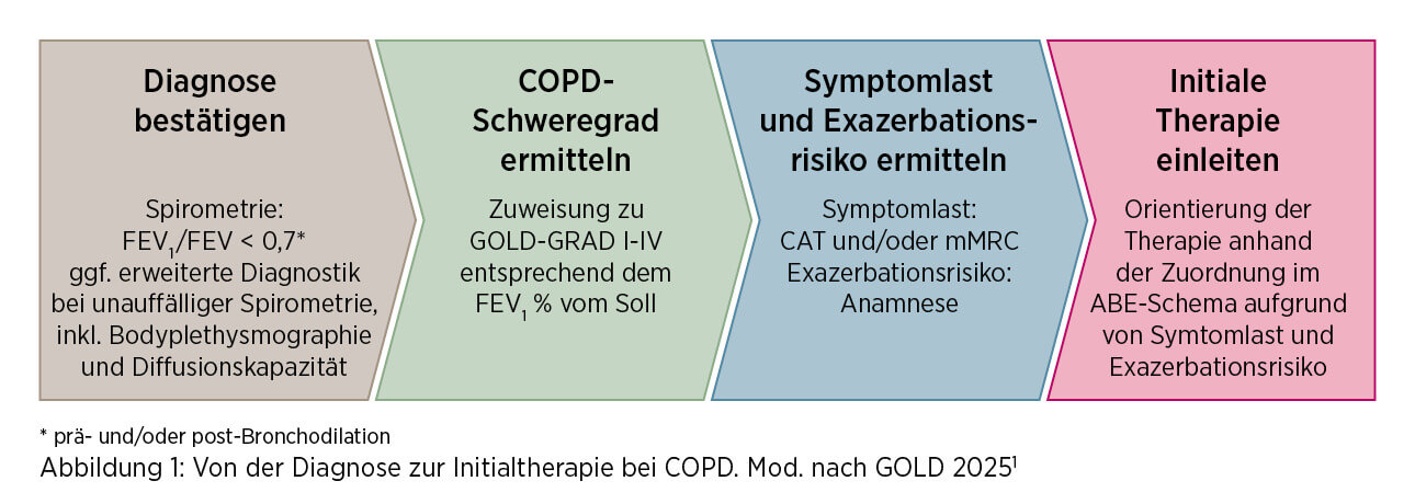 chtr-0088-0027_copd-initialtherapie_250829_v3.26_original.jpg