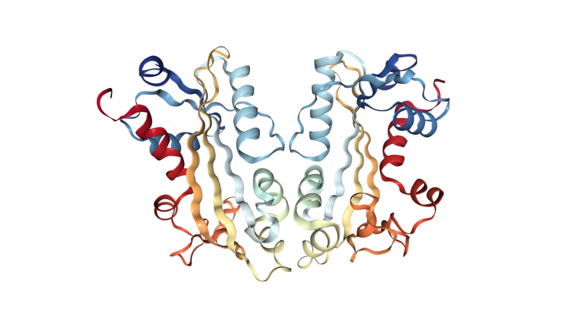 Proteinstruktur von ITPA