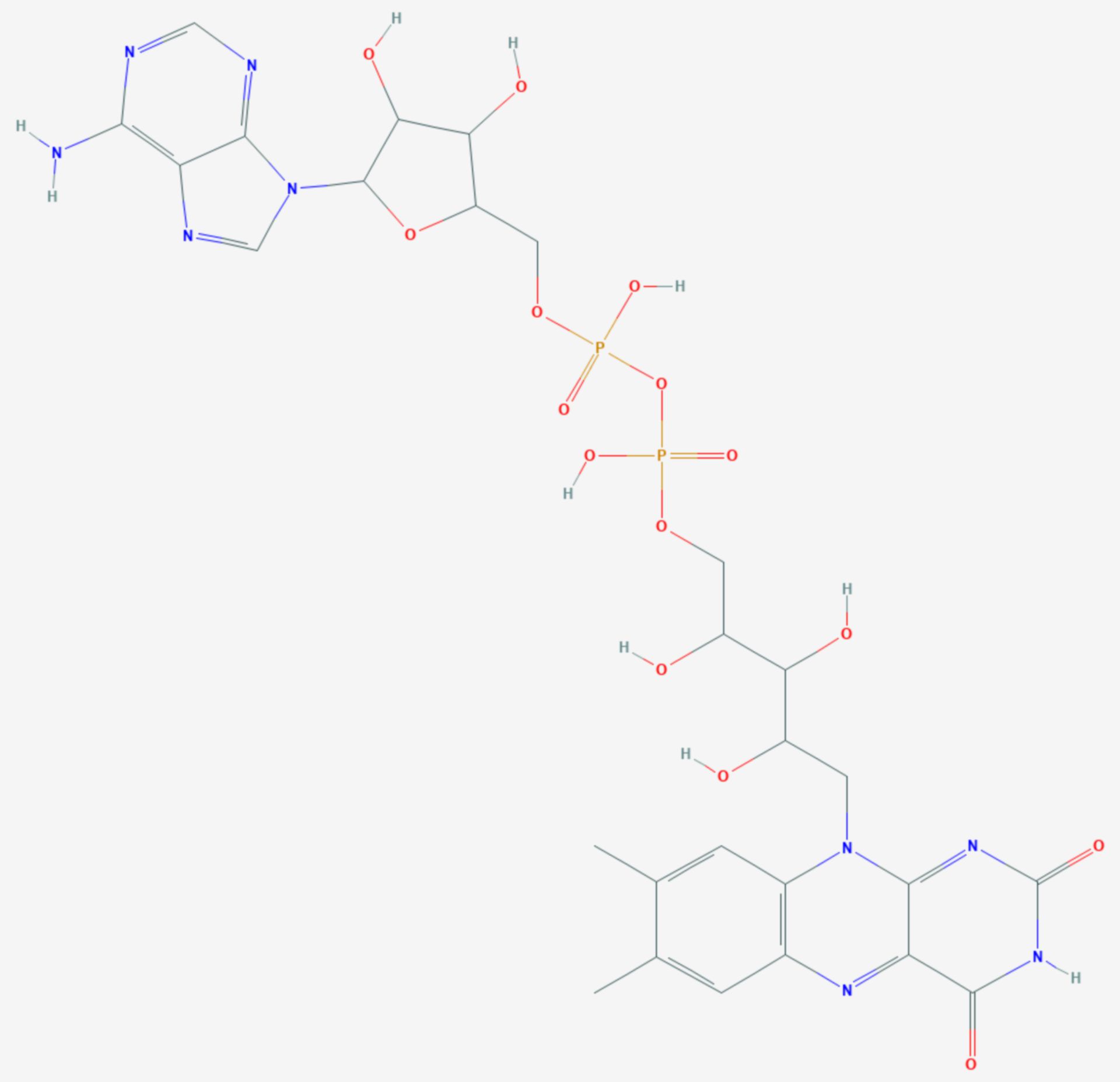 Flavin-Adenin-Dinukleotid (Strukturformel)