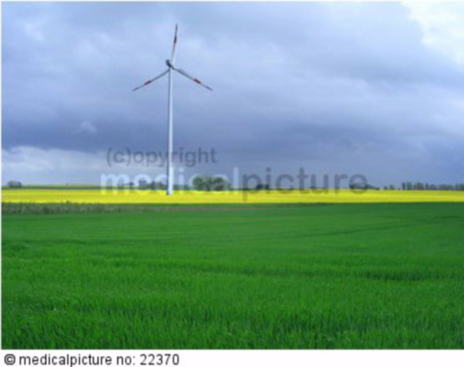  Windenergie Foto 
