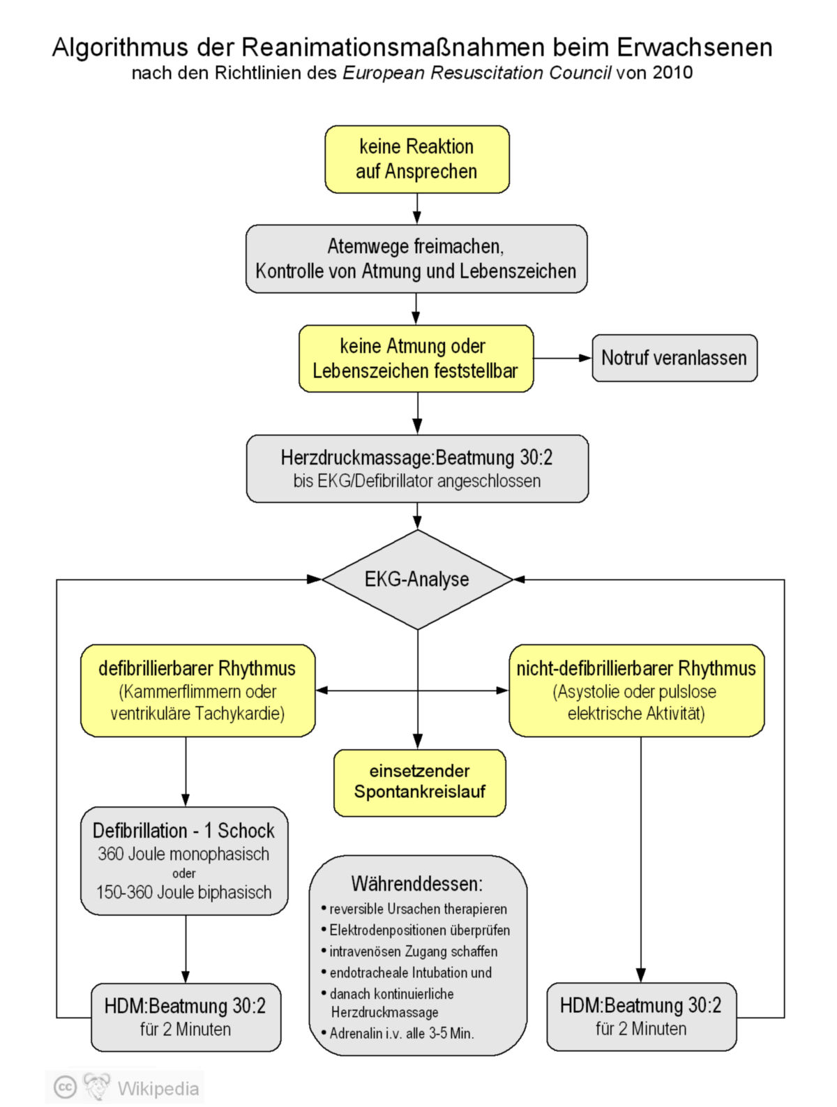 Reanimation DocCheck Flexikon Reanimation DocCheck Flexikon