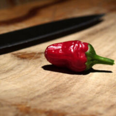 Capsaicin DocCheck Flexikon