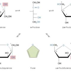 Furanose DocCheck Flexikon