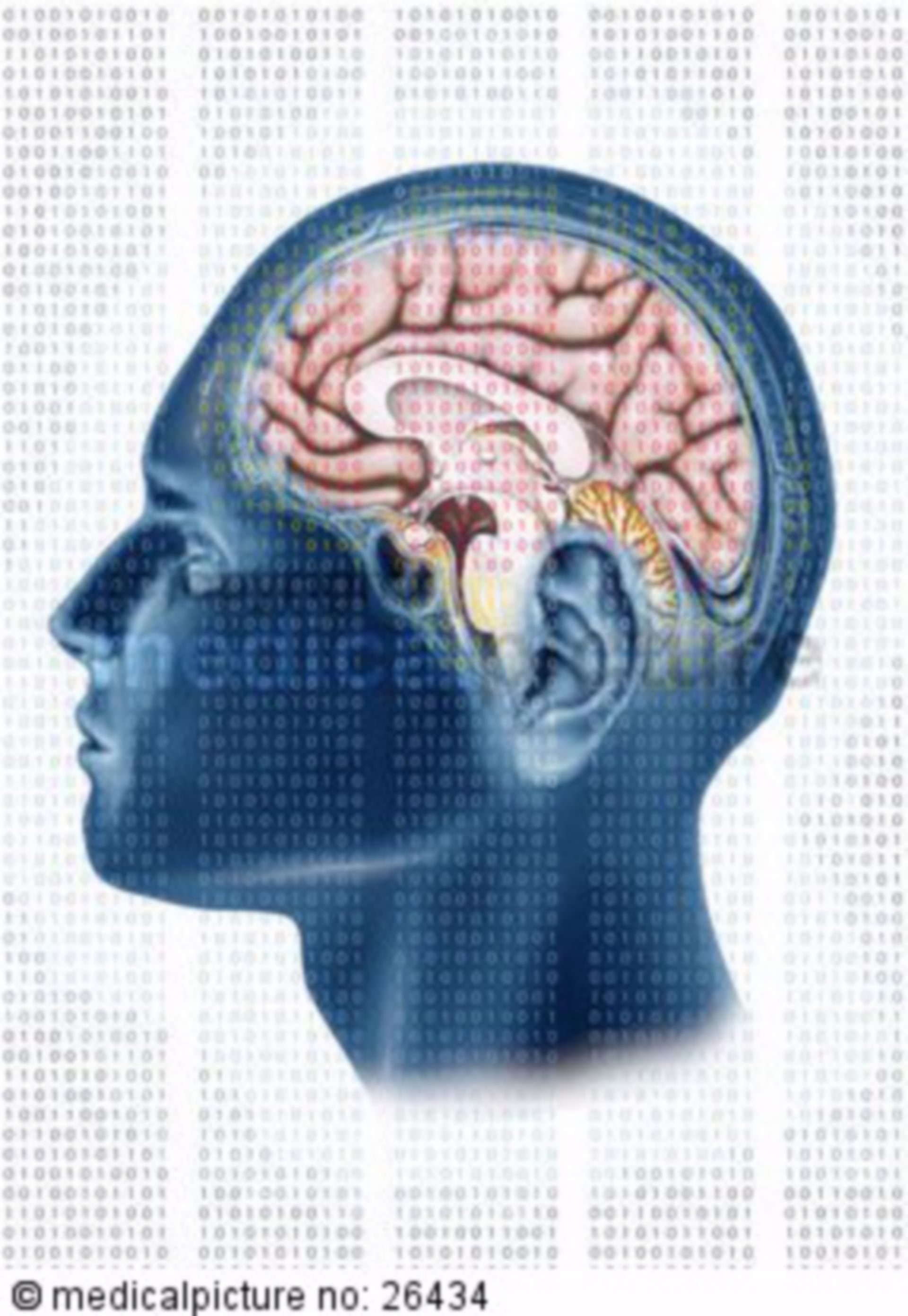  Gehirn mit binaerem Code, brain with binary code 

