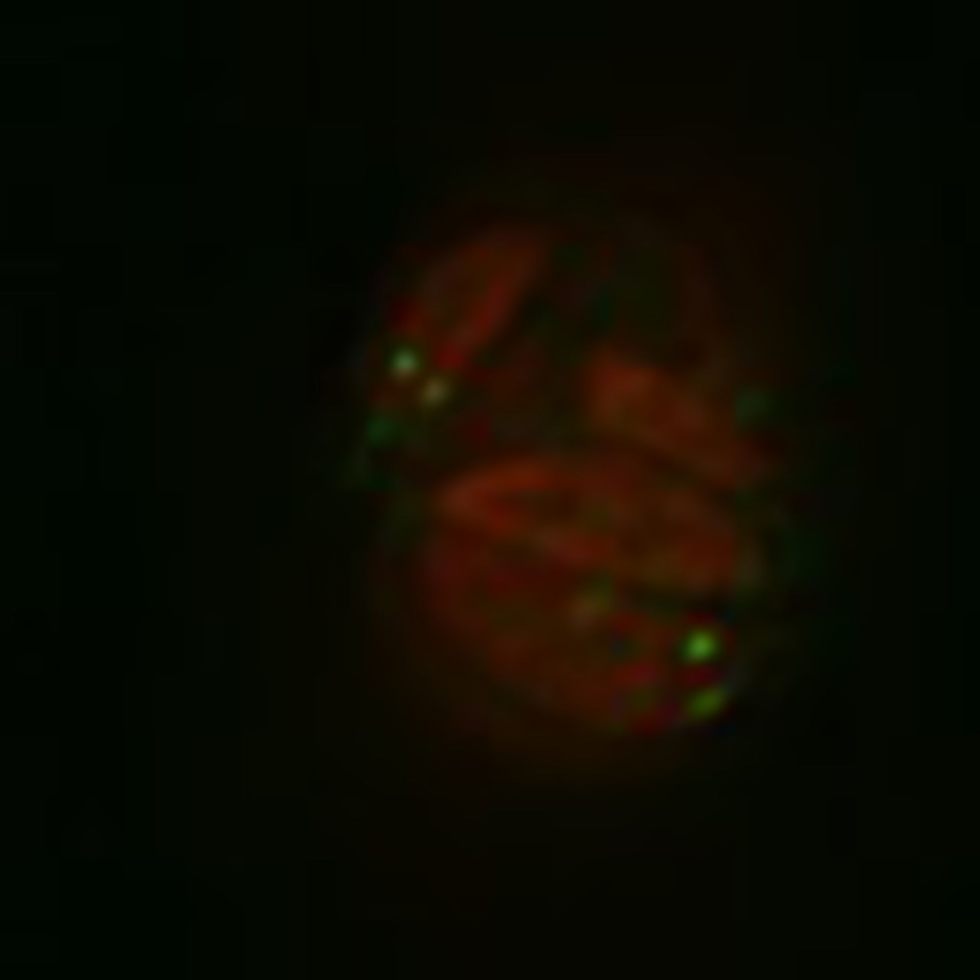 Toxoplasma gondii RH (Polar ring of apical complex) - CIL:10503