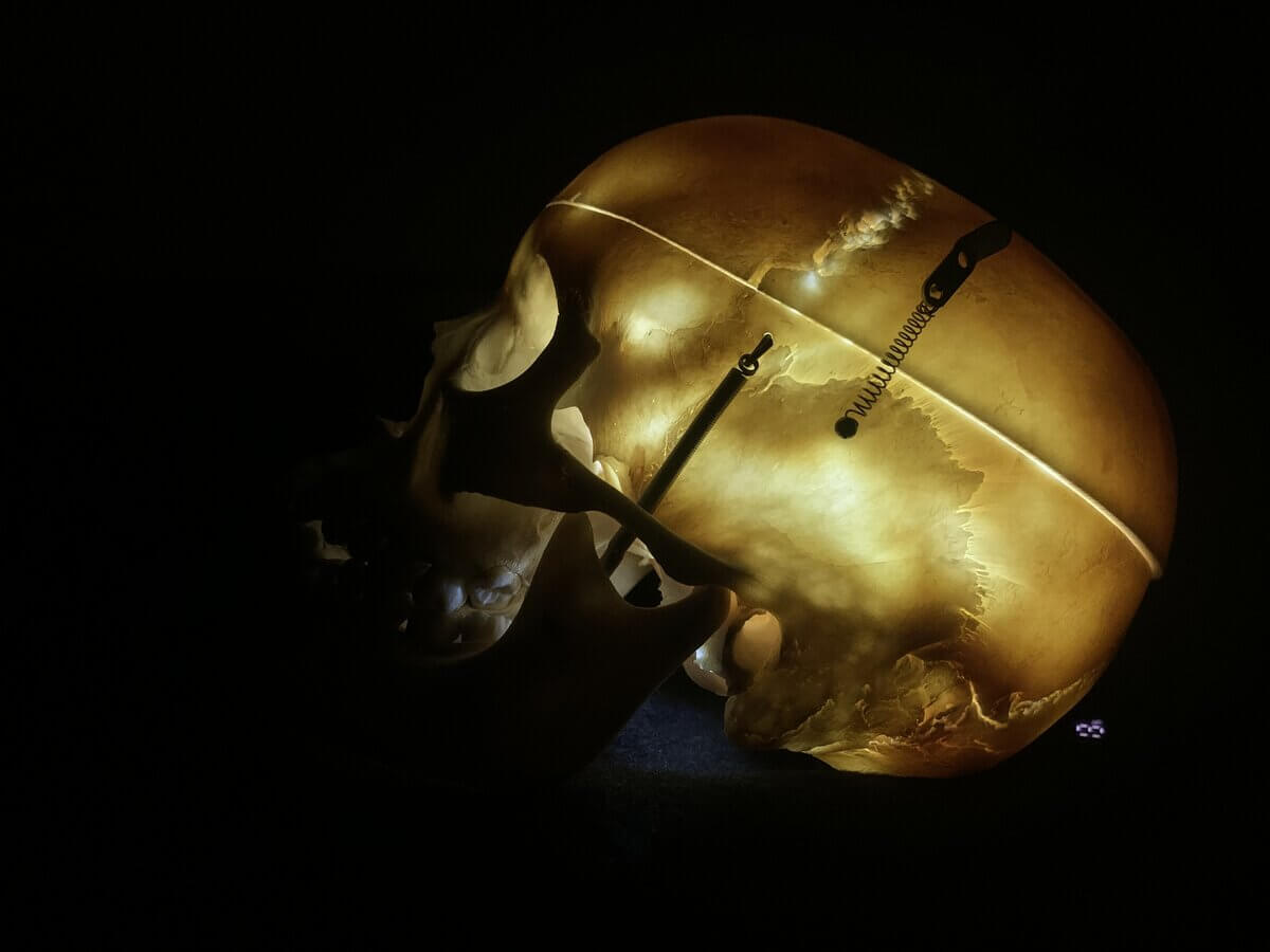 Menschlicher Schädel (illumiert)