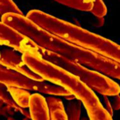 Pretomanid DocCheck Flexikon