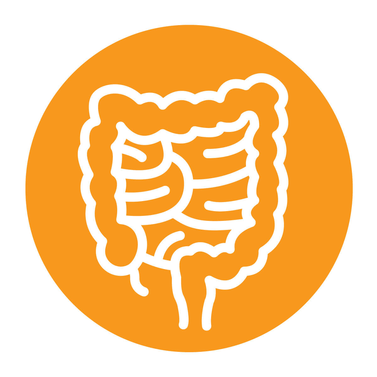 tak_rev_icons_lg_230810_darm_original.jpg