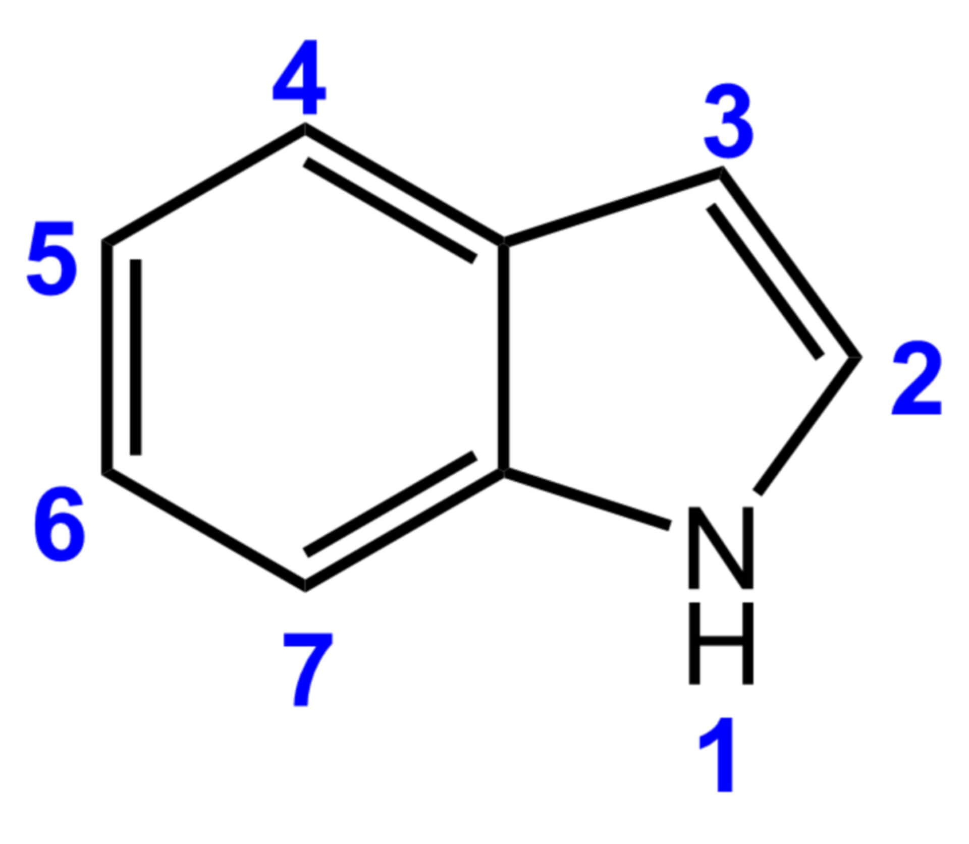 Grundgerüst der Indolalkaloide