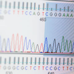 Mikrosatelliteninstabilität DocCheck Flexikon