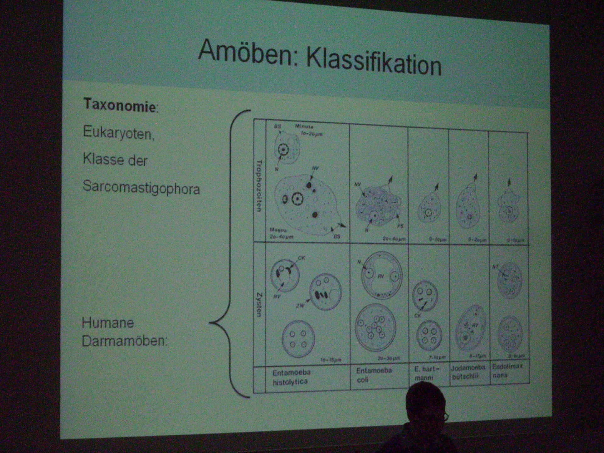 Corso di medicina tropicale a Lipsia