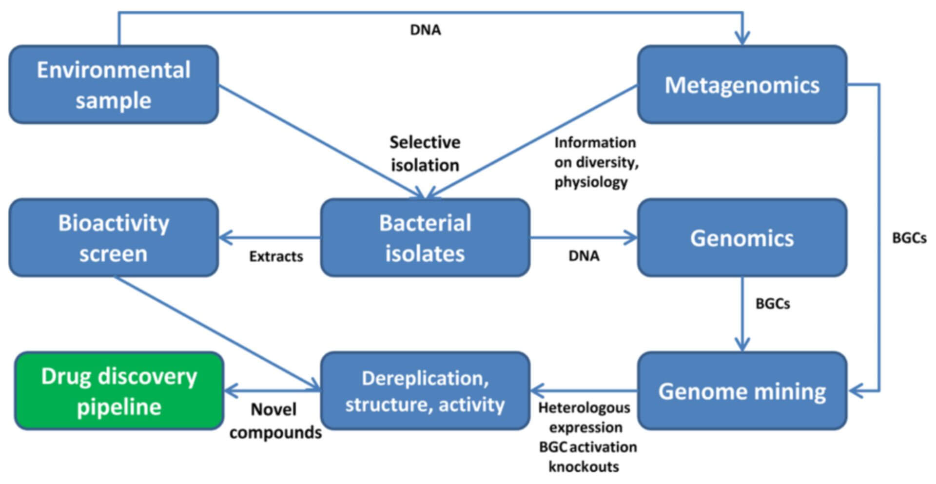 Chemotaxonomy-based Drug Discovery