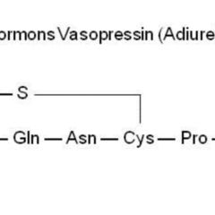 diabetes insipidus doccheck
