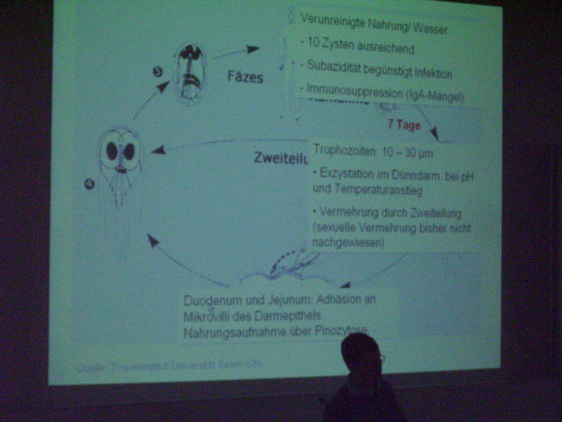 Corso di medicina tropicale a Lipsia