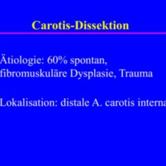 Arteria carotis externa - DocCheck Flexikon