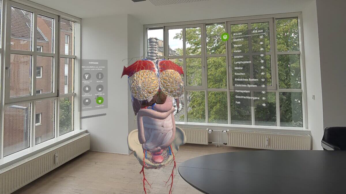 Corpus – weibliche Anatomie